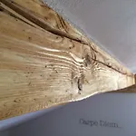 Alpenblümchen Apts. Der Kornauer Stuben