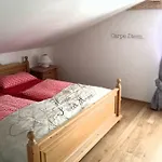 Alpenbluemchen Apts. Der Kornauer Stuben شقة